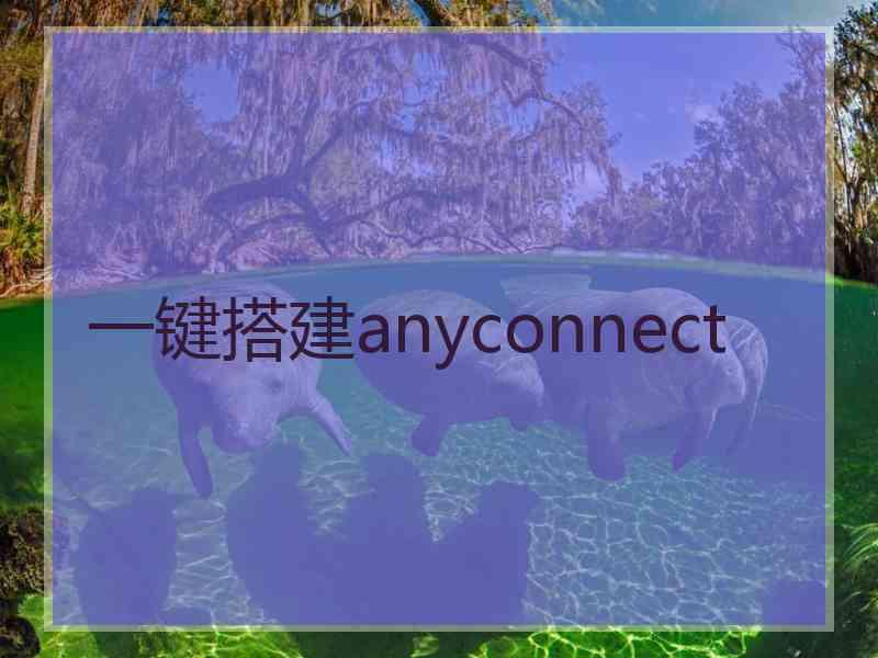 一键搭建anyconnect